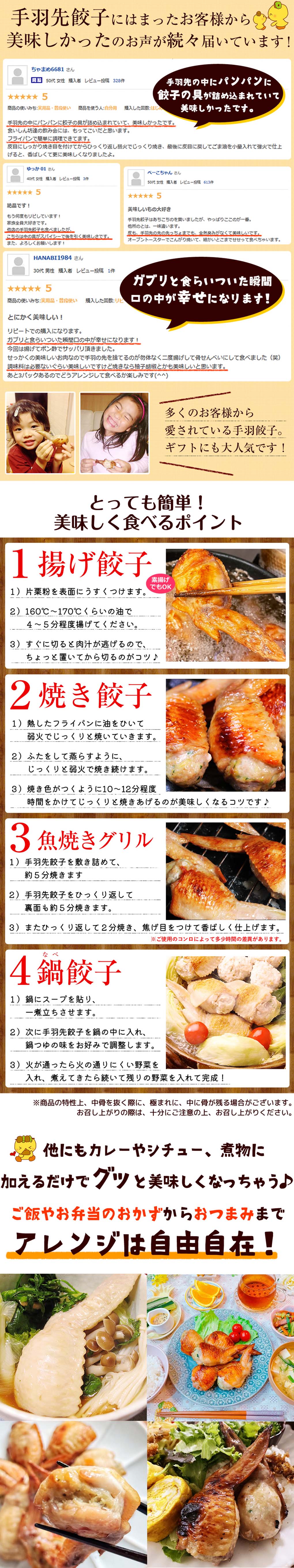 手羽先餃子5本（生）